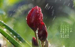 ��ˮ���������ߵ���������